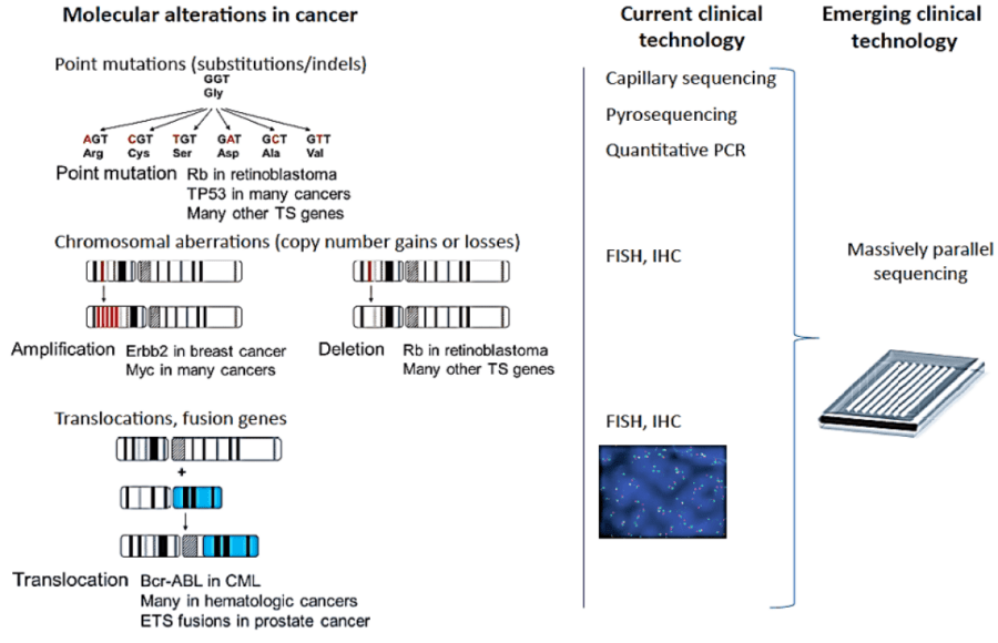Hình 6. Các kỹ thuật xét nghiệm sinh học phân tử trong ngành ung thư (Nguồn: MacConaill, et al. Cancer Discovery 2011; 1:297-311)